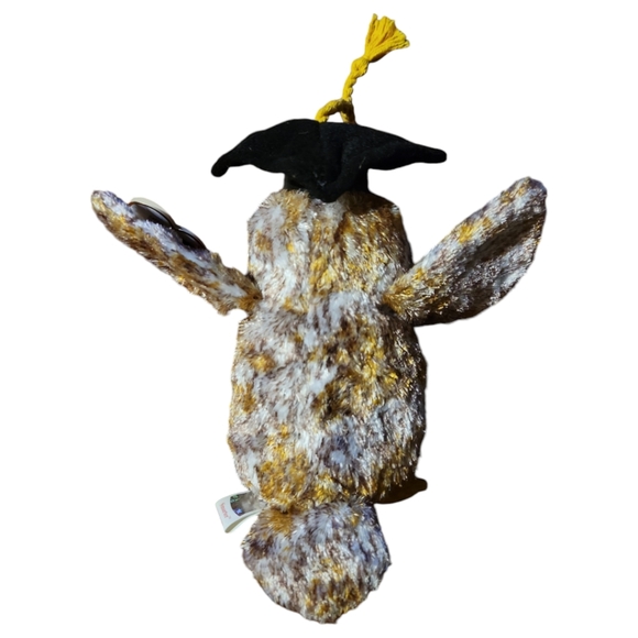 Vtg 2001 Ty Wise Owl Smarter Graduation School College Beanie Baby Error - Picture 7 of 14
